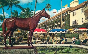 United States Hialeah Florida horse bronze statue salutes Citation 1975