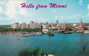 Florida Miami Hello From Miami