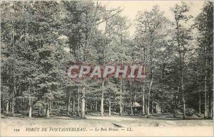 Postcard Old Forest of Fontainebleau Bois Breau
