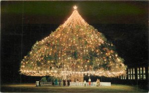 Postcard North Carolina Wilmington World's largest Christmas Tree  23-9098
