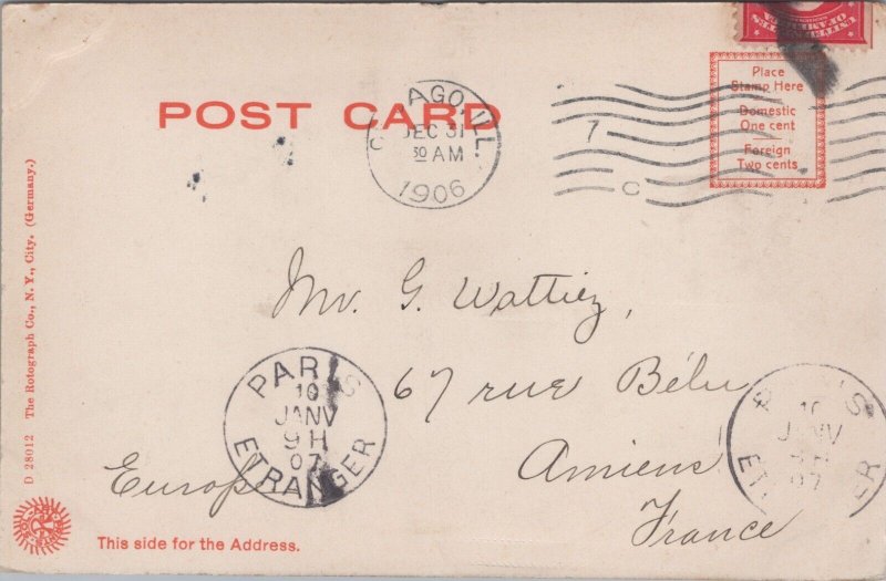 Conservatory Lincoln Park Chicago Illinois Vintage Postcard C096