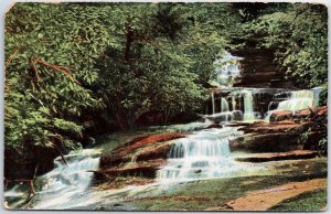 VINTAGE POSTCARD GLEN ONOKO CASCADING FALLS NEAR JIM THORPE PENNSYLVANIA 1910s