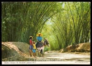 Bamboo Avenue - St. Elizabeth - Jamaica W.I.