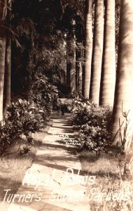 Vintage Postcard Real Photo Royal Palms Turner's Sunken Garden Florida FL RPPC