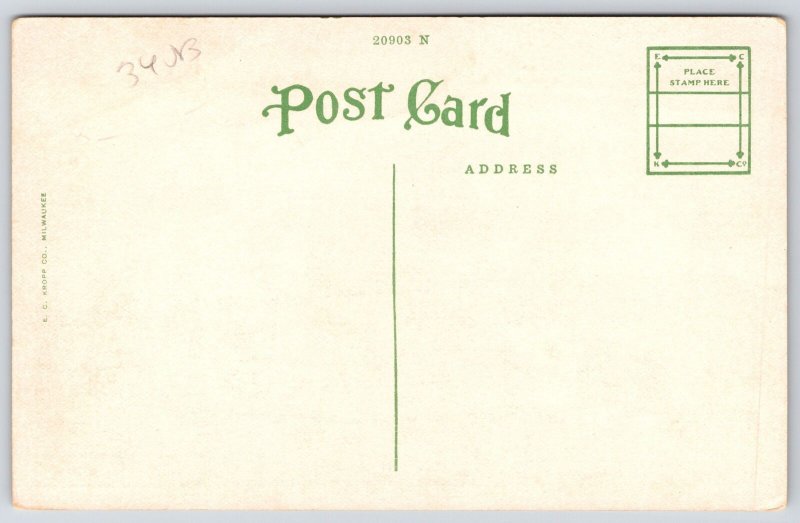 Vintage Postcard Main Street Traffic Bridge over River Alexandria Louisiana LA