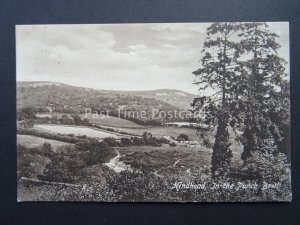 Surrey Hindhead In The Punch Bowl c1909 Postcard by Frith 57876