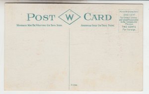 P2031 old postcard quiet view trees homes etc western ave waterville maine