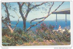 Beautiful homes situated on the heights of St. Thomas, Virgin Islands, PU-1953