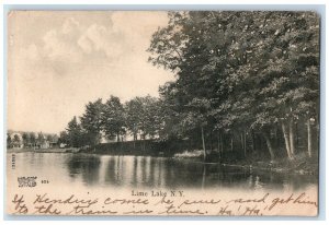 1908 Lime Lake Waterfront View Trees Delaware New York Vintage Antique Postcard 