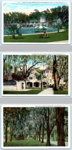 3 Postcards PONCE DE LEON SPRINGS, FL ~ HOTEL Pool, Casino, Lunch Stand c1920s