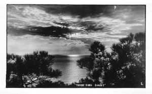 La Jolla California Torrey Pines Sunset Scenic View Real Photo Postcard AA75495