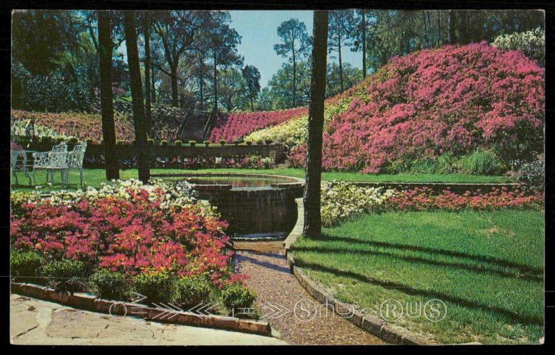 Long Gardens Mobile Alabama Hippostcard