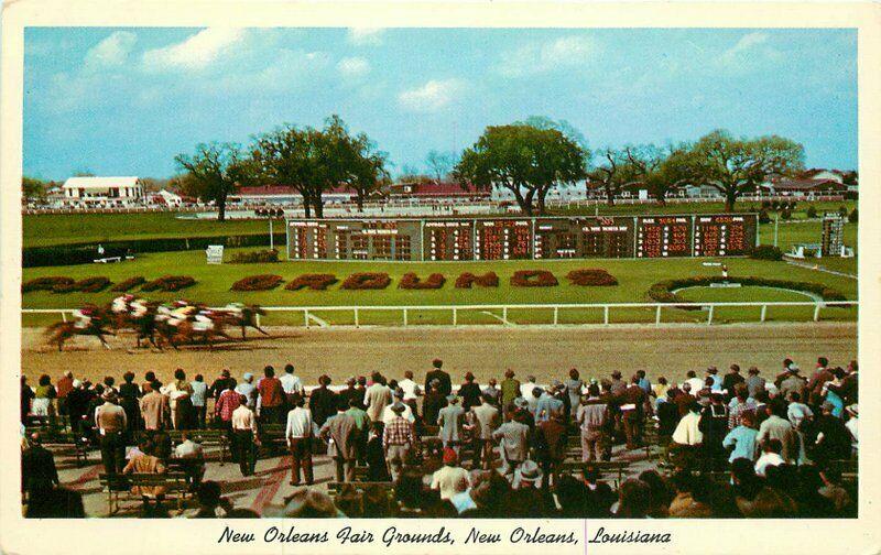 Fair Grounds 1950s Horse Racing New Orleans Louisiana Postcard Teich 2929