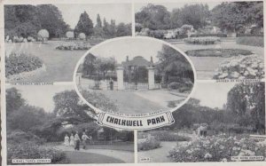 Chalkwell Park Southend On Sea A Sheltered Corner Multi View Postcard