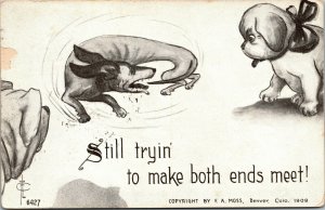 Vtg Comic Postcard 1910 Dachsund Dog Chasing Tail Trying To Make Both Ends Meet