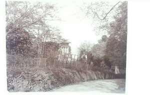 Vintage Antique Postcard Man Fixing Fence in a Country Lane Nr Torquay Devon VGC