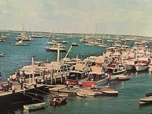 Postcard View of The Newport International Sailboat Show in Newport, RI 4x6 T5