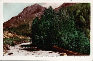 Eagle River near Revelstoke BC c1940 Duplex Fred Spalding RPPC Postcard H13