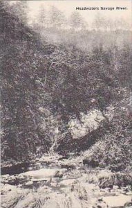 Maryland Headwaters Savage River Albertype