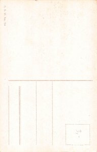 Germany Castle Drachenfels Ruins vintage postcard