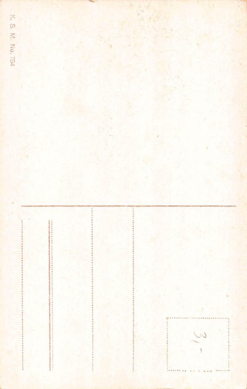 Germany Castle Drachenfels Ruins vintage postcard