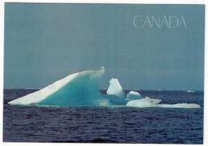 Canada 2013 Unused Postcard Arctic Iceberg Birds Seagull