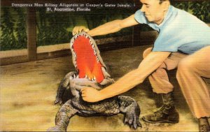 Florida St Augustine Dangerous Man Killing Alligator