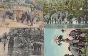 Ceylon Indian Elephants At Work 4x Old Postcard s