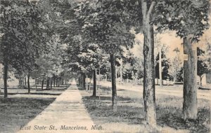 EAST STATE STREET MANCELONA MICHIGAN POSTCARD 1908