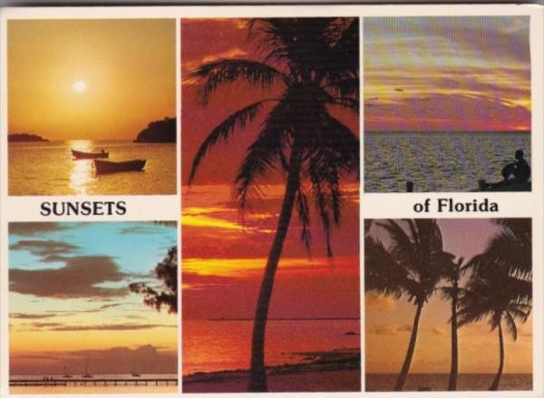 Florida Beautiful Sunset Scenes Multi View