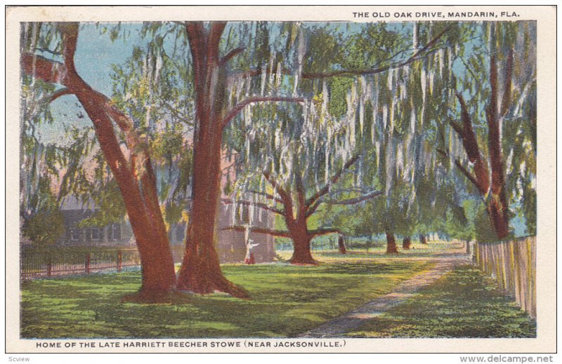 Old Oak Drive , MANDARIN , Florida , 1910s