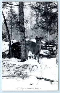 RPPC Greetings from HILLMAN, Michigan MI ~ Deer in Snow 1952 Postcard