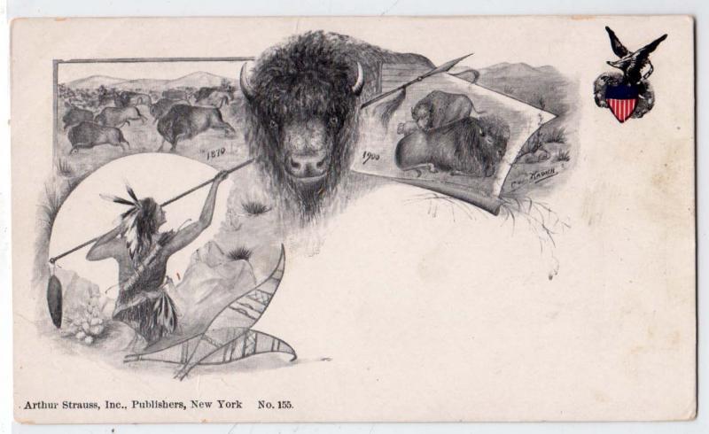 Buffalo Hunter - Private Mailing Card