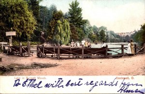 Ohio Cincinnati The Lake In Burnett Woods 1906