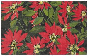 Poinsettias in Florida Grown in the Sunshine State Linen