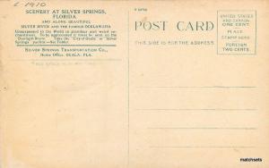 C-1910 Seeing Silver Springs Glass Bottom Boats Scenery FLORIDA postcard 2229