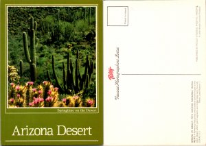 Arizona Desert (10743)