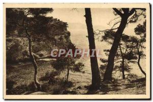 Old Postcard Toulon Creeks Cape Brown
