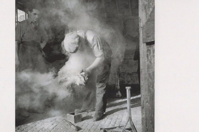 Farmer Shoeing A Horse in 1940s Award Photo Postcard