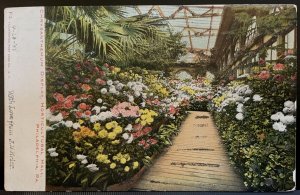 Vintage Postcard 1901-1907 Flower Display, Horticultural Hall, Philadelphia PA