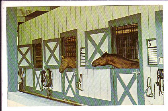 Kentucky Horse Park, Race Training