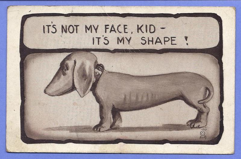 Dog, Postcard Floyds Knobs, Indiana Aug 11, 1910