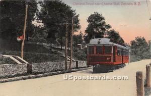 Chestnut Street, Chinese Wall Oneonta NY 1907