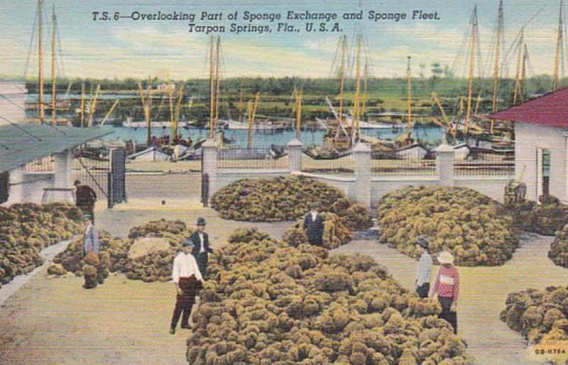 Florida Tarpon Springs Overlooking Part Of Sponge Exchange and Sponge Fleet C...