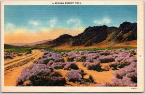 Nevada NV, Desert Road, Purple Flowers, Driveway, Rocky Mountain, Postcard