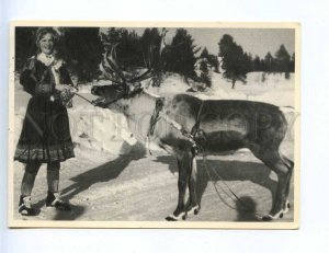 201876 FINLAND Lappi Lappland Deer & girl Old photo RPPC