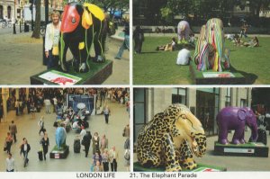 Elephants In London City Parade Life The Photo Gallery Postcard