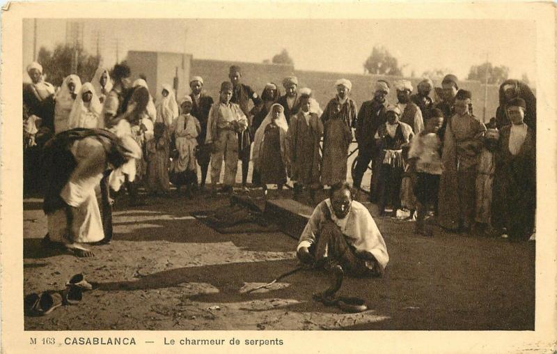 Photogravure? Postcard; Casablanca Morocco Africa Snake Charmer unposted