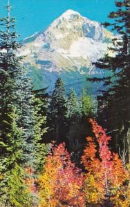 Mount Hood From Lolo Pass Oregon