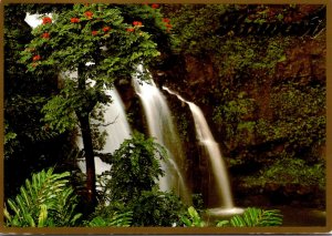 Hawaii Lush Rainforest With Waterfall